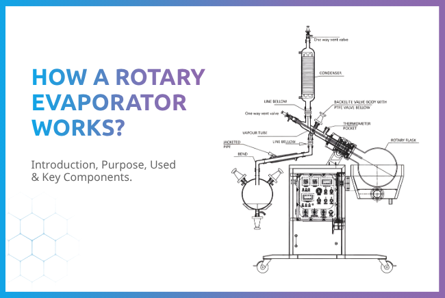 How a Rotary Evaporator Works